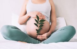 pregnant_woman_holds_green_sprout_plant_near_her_b_2023_11_27_05 1