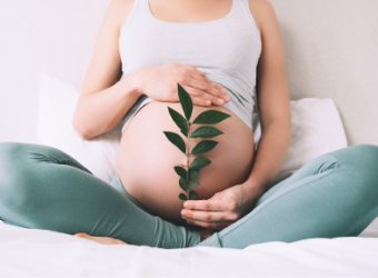 pregnant_woman_holds_green_sprout_plant_near_her_b_2023_11_27_05 1