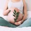 pregnant_woman_holds_green_sprout_plant_near_her_b_2023_11_27_05 1